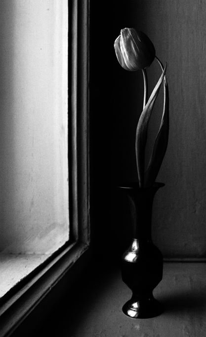 View larger image View larger image