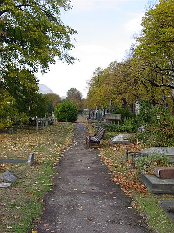 View larger image View larger image