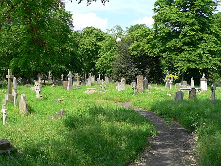 View larger image View larger image