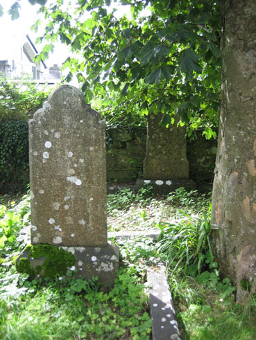 View larger image View larger image