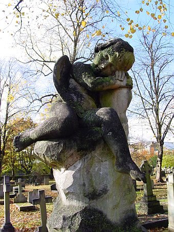 View larger image View larger image