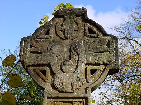 View larger image View larger image