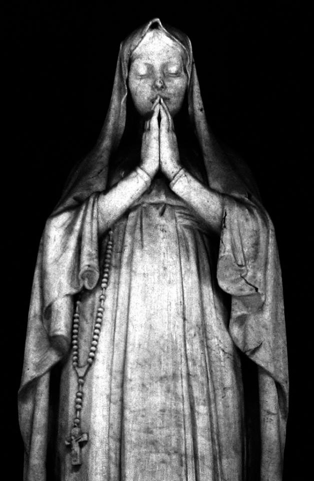 View larger image View larger image