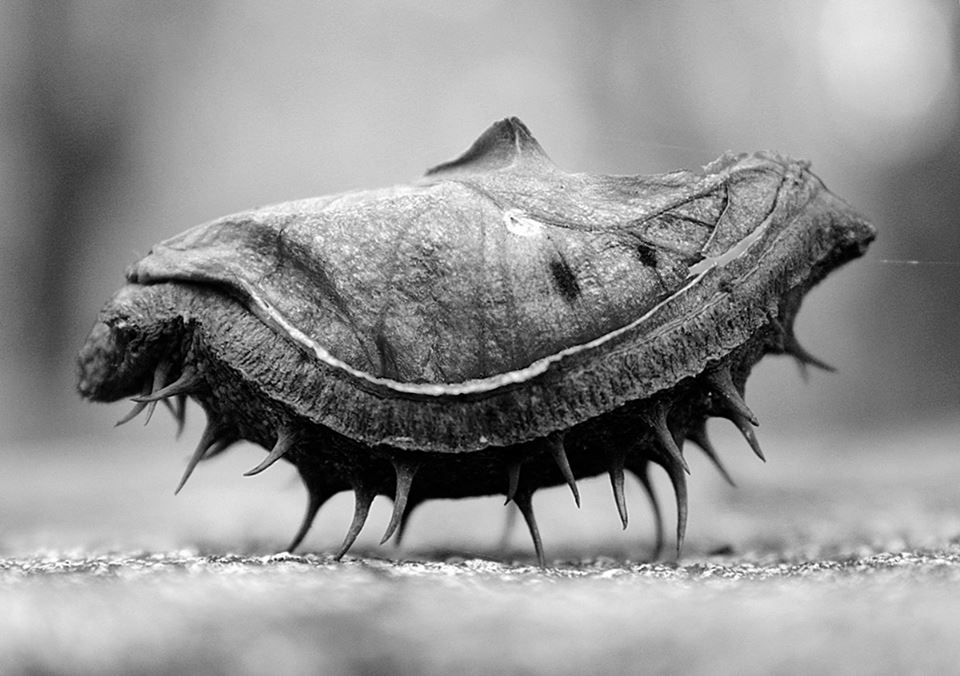 View larger image View larger image