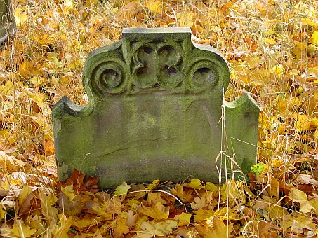 View larger image View larger image