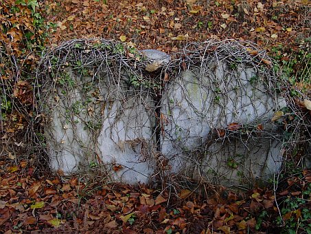 View larger image View larger image