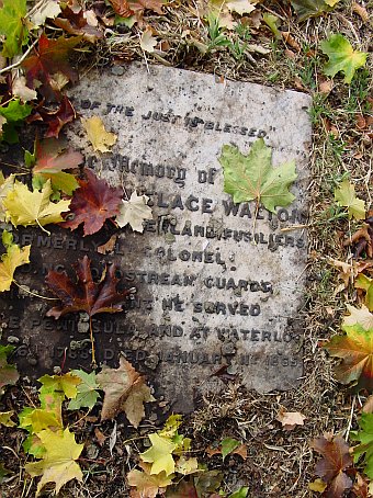 View larger image View larger image