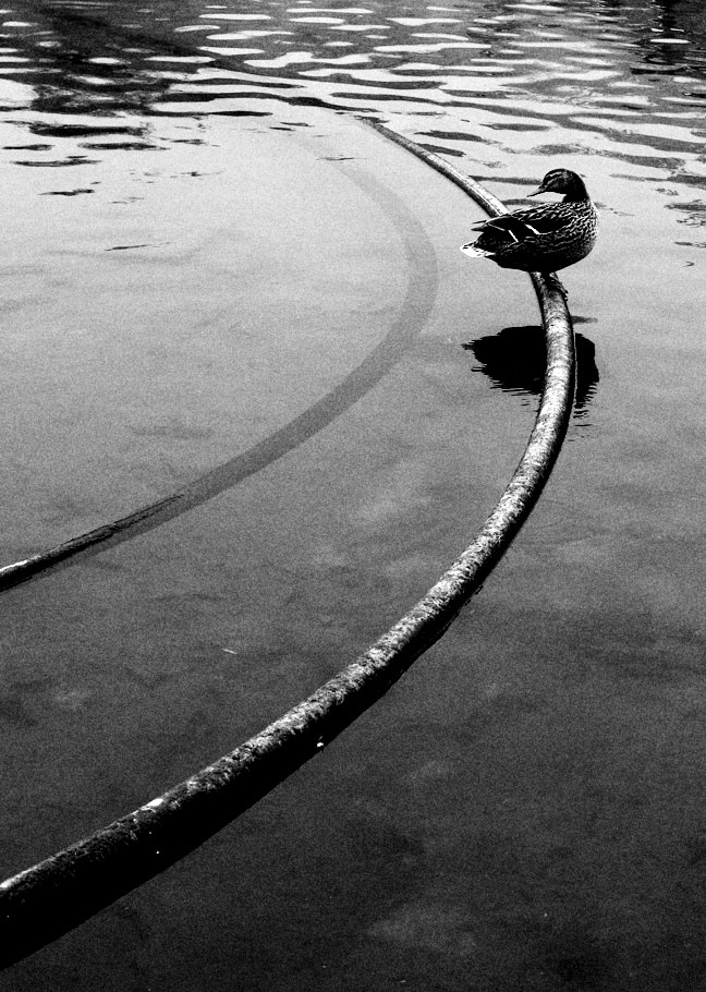 View larger image View larger image