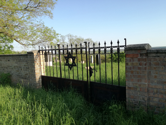 View larger image View larger image